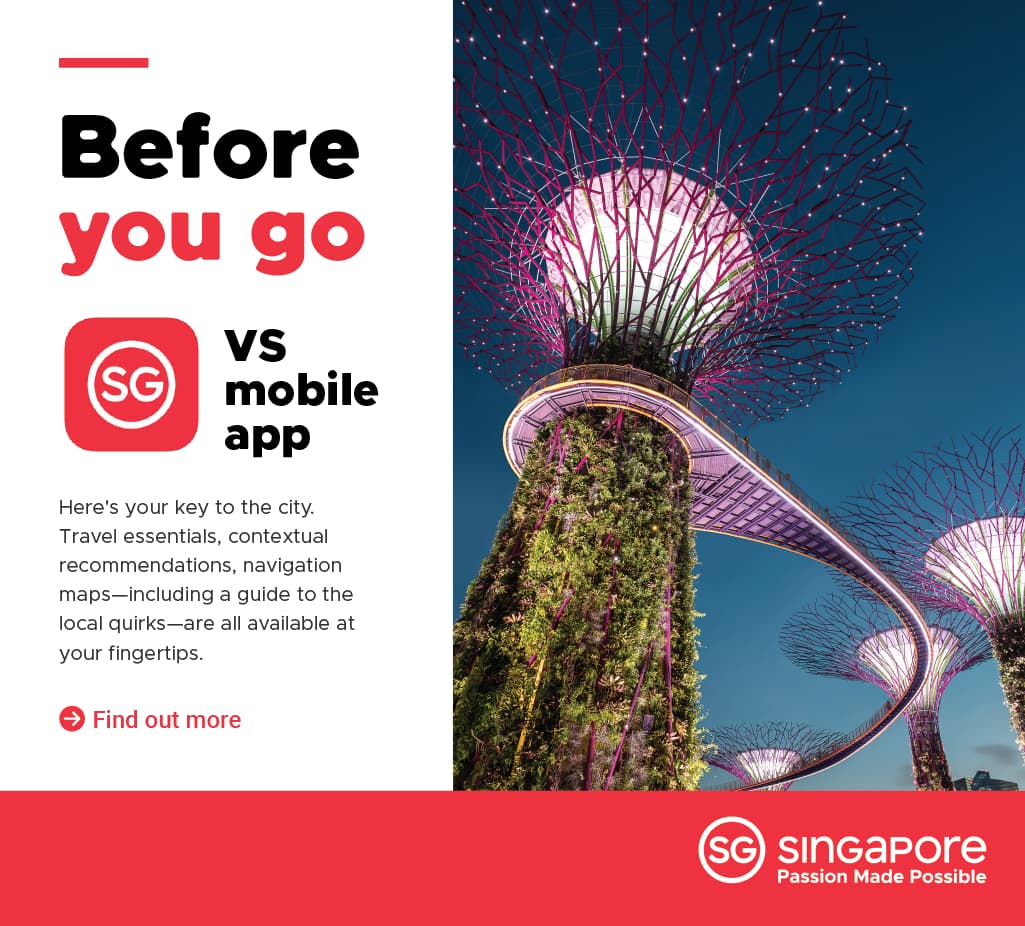 About Singapore - VS App